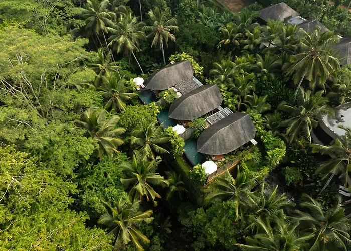 Abisena Wellness & Ubud-adult Only 5*