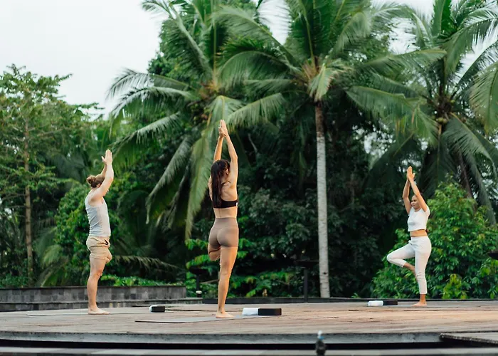 Abisena Wellness & Ubud-adult Only リゾート 5*